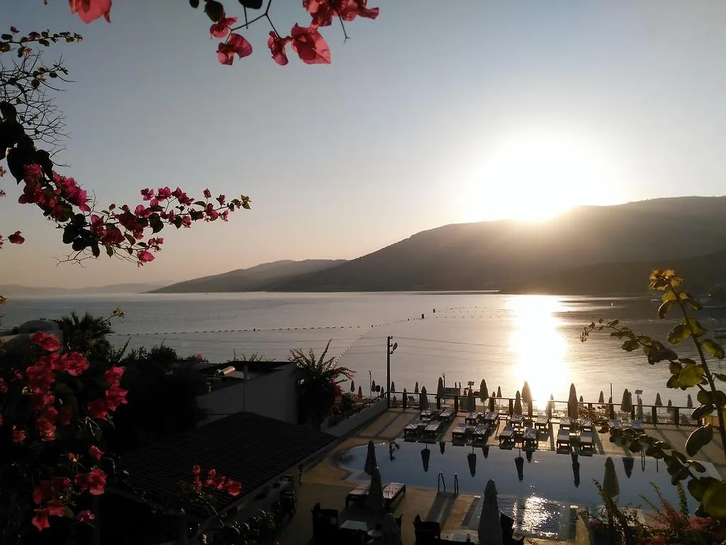 Sina Hotel (Adults Only) Torba