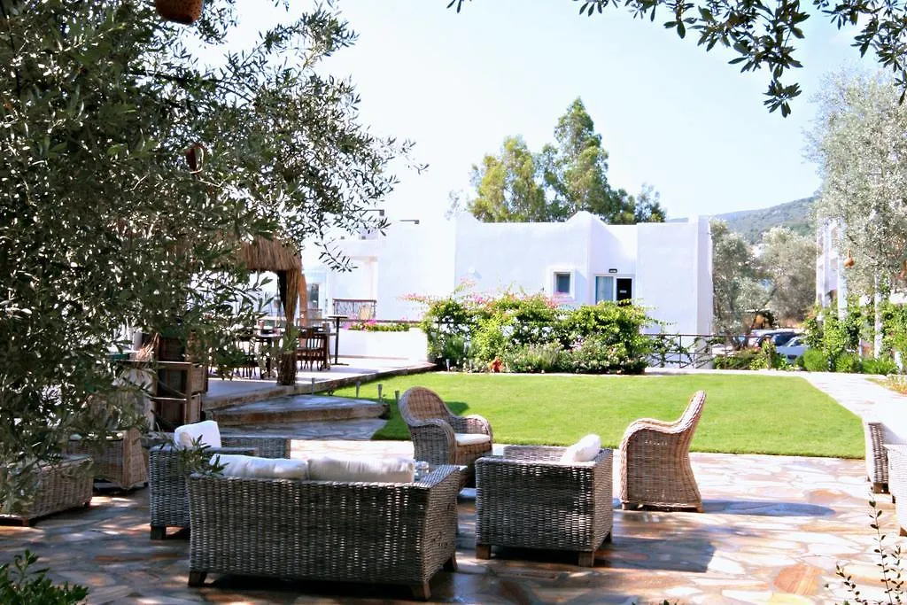 Sina Hotel (Adults Only) Torba 4*,  Turquie