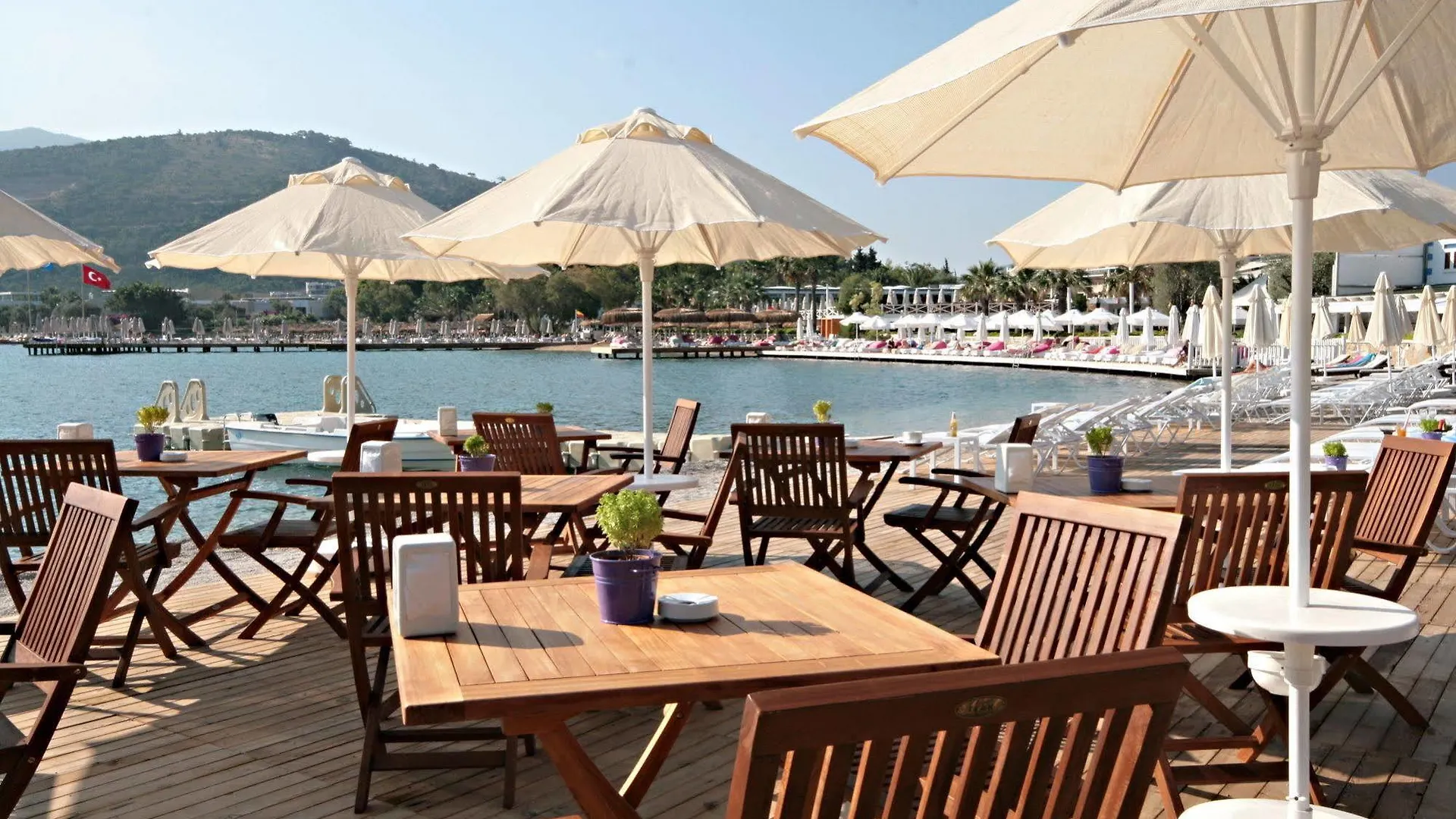 Sina Hotel (Adults Only) Torba 4*,  Turquie