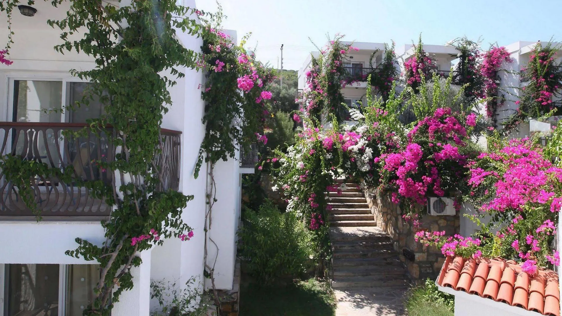 Sina Hotel (Adults Only) Torba