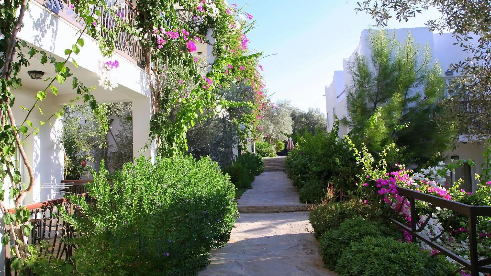 Sina Hotel (Adults Only) Torba