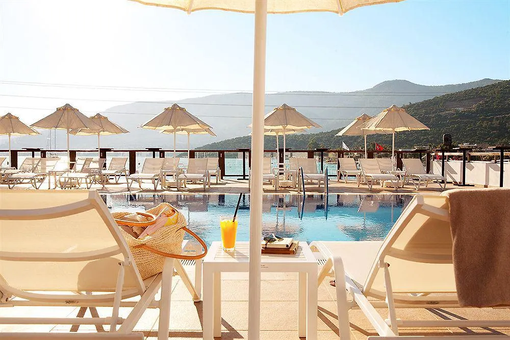 Sina Hotel (Adults Only) トルバ