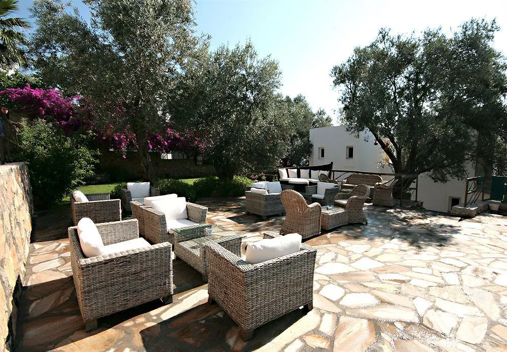 ****  Sina Hotel (Adults Only) Torba Turchia